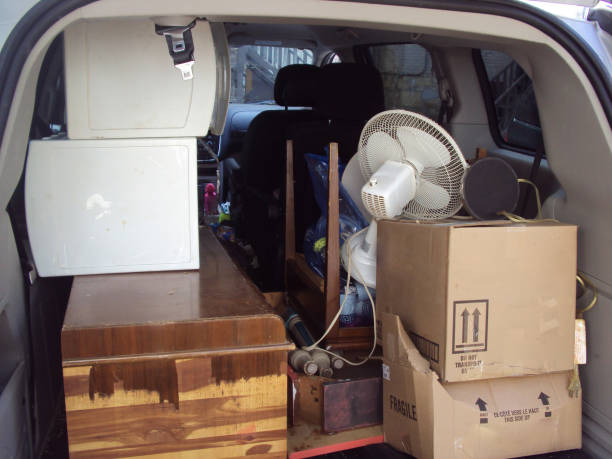 Best Shed Removal  in Fayette, AL